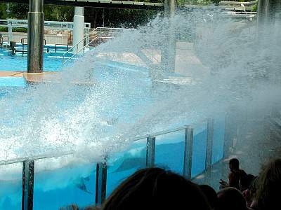 disney_2000_126_Disney2000 Sea World 30 May353.JPG